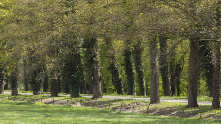 Landgoed Loenen